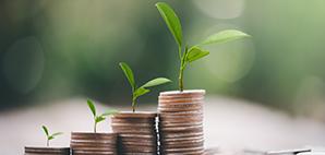 Budding plants on consecutively growing stack of coins