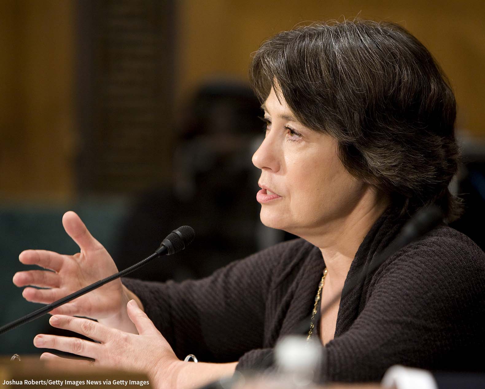 Sheila Bair, chairman of the Federal Deposit Insurance Corporation (FDIC) testifies to the Senate Banking, Housing and Urban Affairs Committee