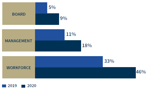 Minority workforce demographics, board: 5 percent in 2019, 9 percent in 2020; management: 11 percent in 2019, 18 percent in 2020; workforce: 33 percent in 2019, 46 percent in 2020